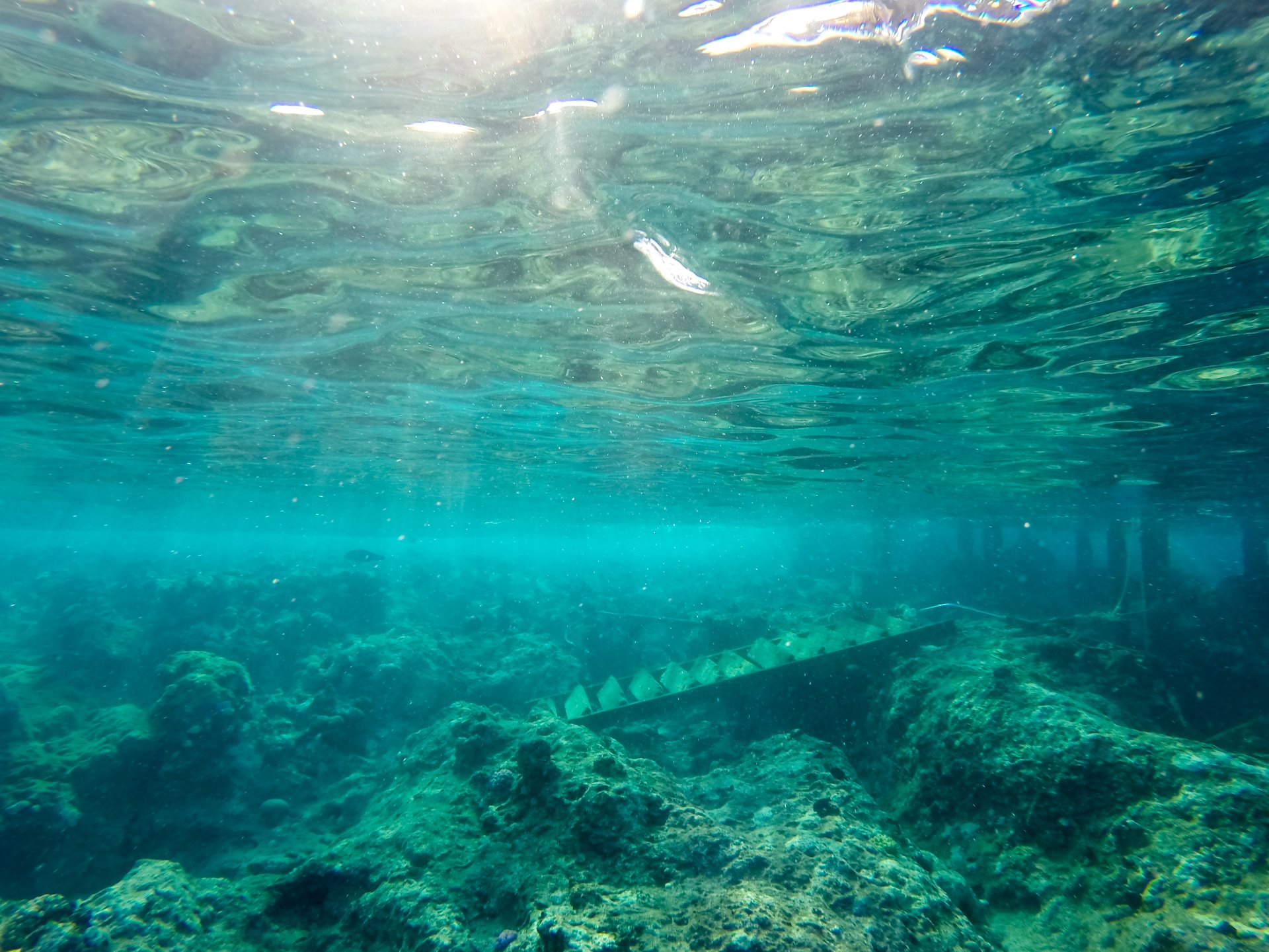 Nemo Island Bootsausflug Hurghada | Schnorcheln & Inseltour - Photo 2