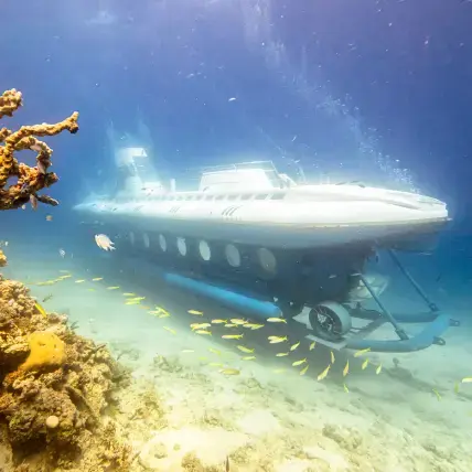 Sindbad U-Boot Hurghada – Unvergessliches Unterwasserabenteuer im Roten Meer - Photo 4
