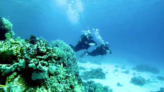 Sharm Al Naga Schnorcheltour Safaga | Perfekter Landausflug für Kreuzfahrtgäste - Main Image